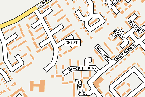 DH7 8TJ map - OS OpenMap – Local (Ordnance Survey)