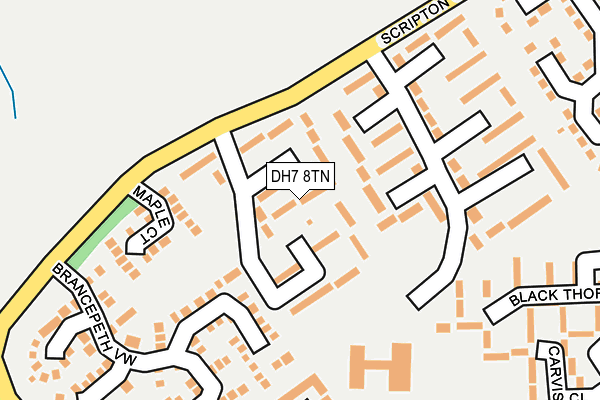 DH7 8TN map - OS OpenMap – Local (Ordnance Survey)