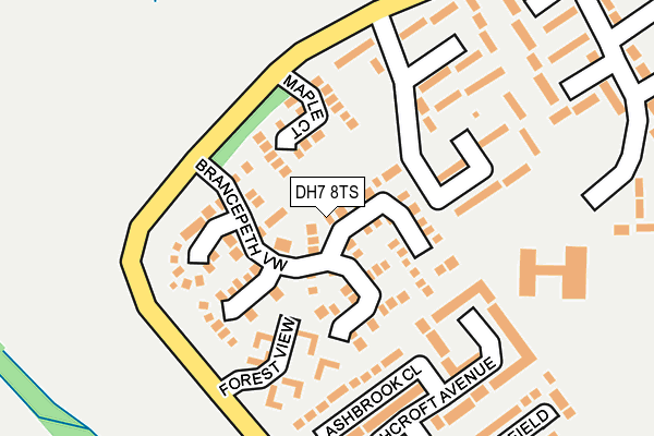 DH7 8TS map - OS OpenMap – Local (Ordnance Survey)