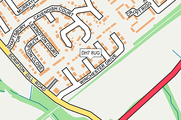 DH7 8UG map - OS OpenMap – Local (Ordnance Survey)