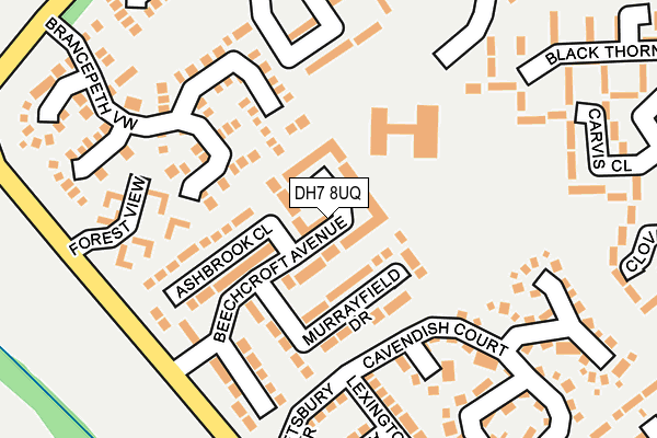 DH7 8UQ map - OS OpenMap – Local (Ordnance Survey)