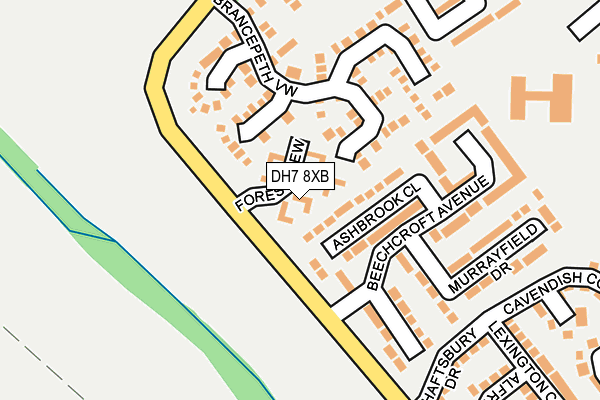 DH7 8XB map - OS OpenMap – Local (Ordnance Survey)