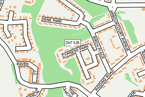 DH7 9JB map - OS OpenMap – Local (Ordnance Survey)