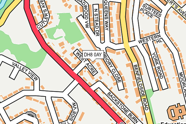 DH8 0AY map - OS OpenMap – Local (Ordnance Survey)