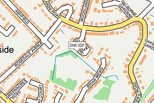 DH8 0DF map - OS OpenMap – Local (Ordnance Survey)