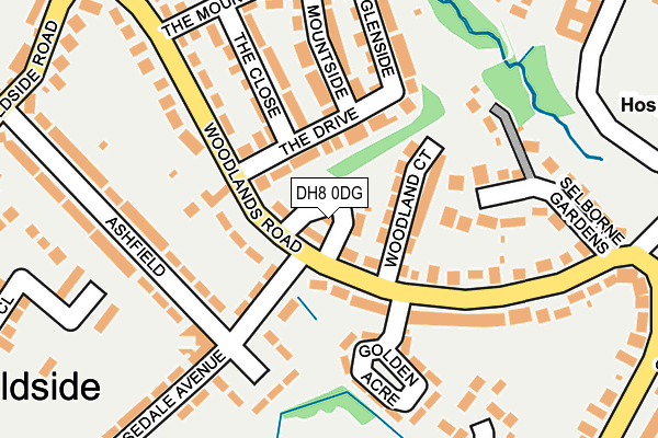 DH8 0DG map - OS OpenMap – Local (Ordnance Survey)