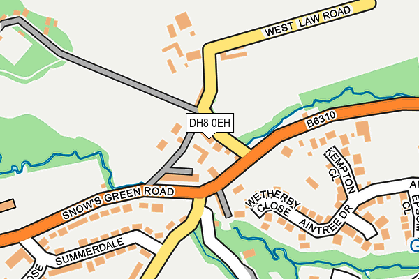 DH8 0EH map - OS OpenMap – Local (Ordnance Survey)
