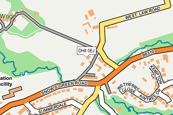 DH8 0EJ map - OS OpenMap – Local (Ordnance Survey)