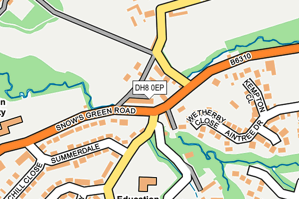 DH8 0EP map - OS OpenMap – Local (Ordnance Survey)