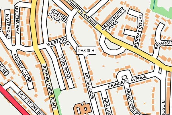 DH8 0LH map - OS OpenMap – Local (Ordnance Survey)