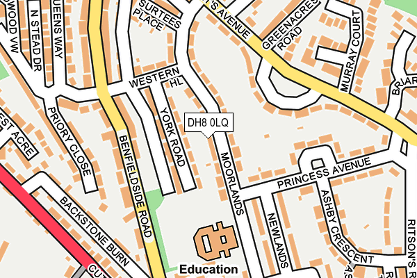 DH8 0LQ map - OS OpenMap – Local (Ordnance Survey)