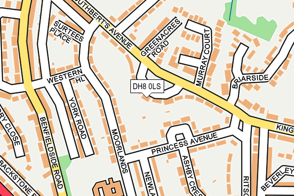 DH8 0LS map - OS OpenMap – Local (Ordnance Survey)