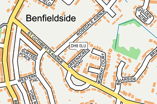 DH8 0LU map - OS OpenMap – Local (Ordnance Survey)