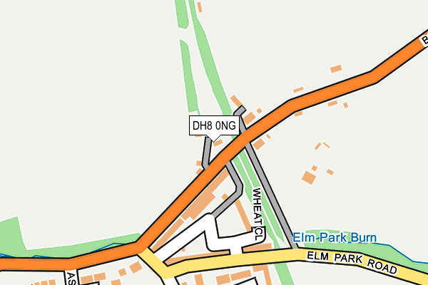 DH8 0NG map - OS OpenMap – Local (Ordnance Survey)
