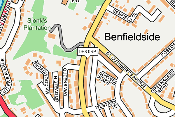 DH8 0RP map - OS OpenMap – Local (Ordnance Survey)