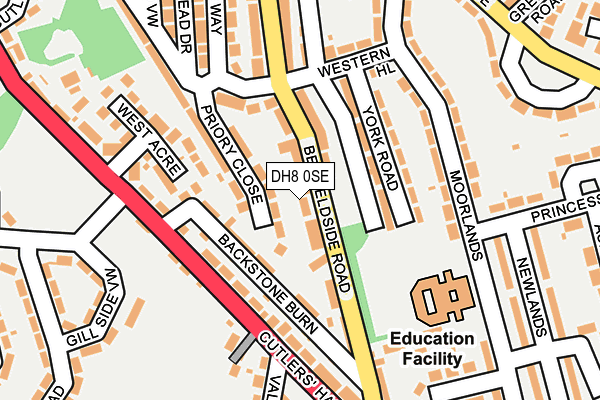 DH8 0SE map - OS OpenMap – Local (Ordnance Survey)