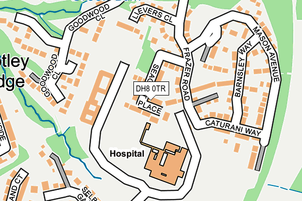 DH8 0TR map - OS OpenMap – Local (Ordnance Survey)