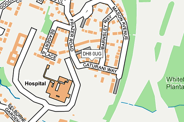 DH8 0UG map - OS OpenMap – Local (Ordnance Survey)