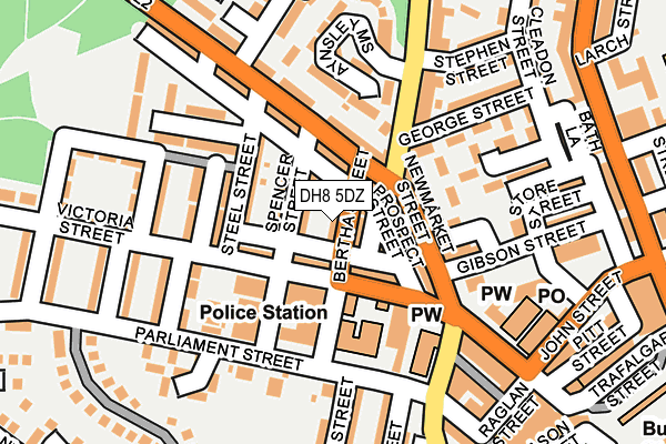 DH8 5DZ map - OS OpenMap – Local (Ordnance Survey)
