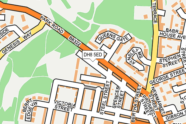 DH8 5ED map - OS OpenMap – Local (Ordnance Survey)