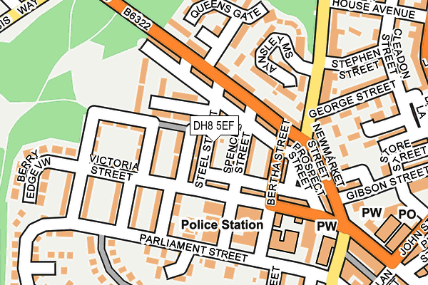 DH8 5EF map - OS OpenMap – Local (Ordnance Survey)