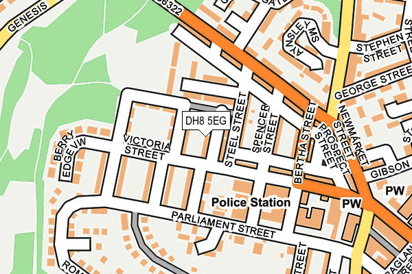 DH8 5EG map - OS OpenMap – Local (Ordnance Survey)