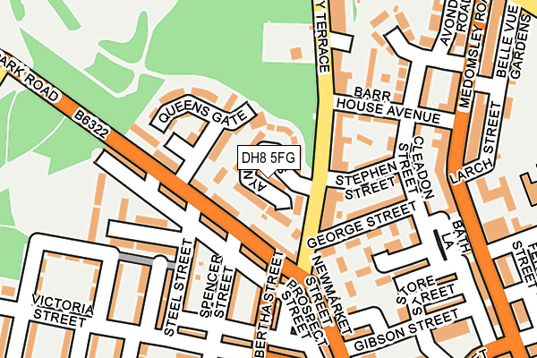 DH8 5FG map - OS OpenMap – Local (Ordnance Survey)