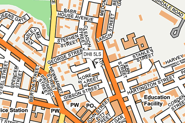 DH8 5LS map - OS OpenMap – Local (Ordnance Survey)