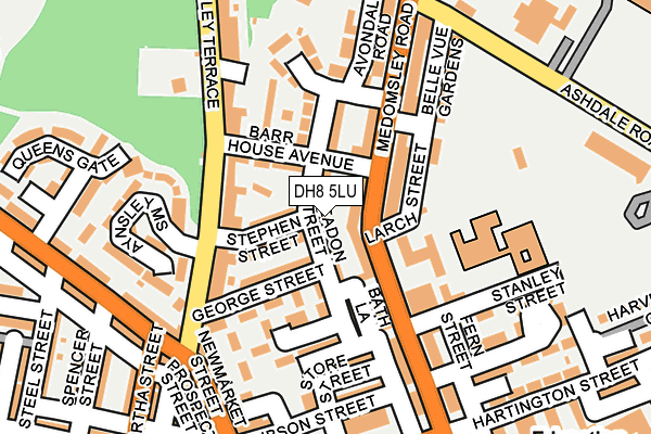 DH8 5LU map - OS OpenMap – Local (Ordnance Survey)