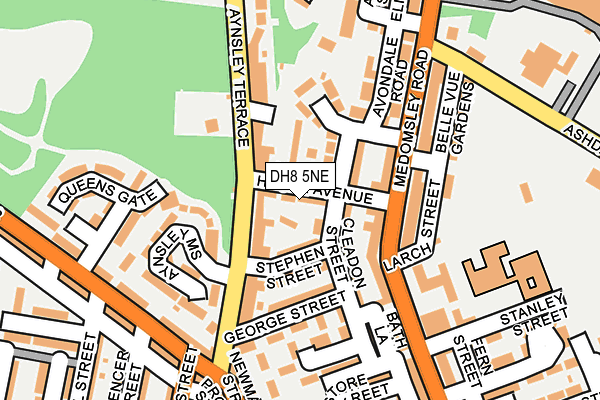 DH8 5NE map - OS OpenMap – Local (Ordnance Survey)