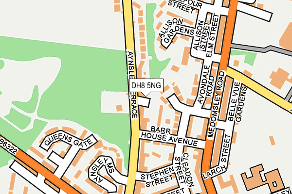 DH8 5NG map - OS OpenMap – Local (Ordnance Survey)