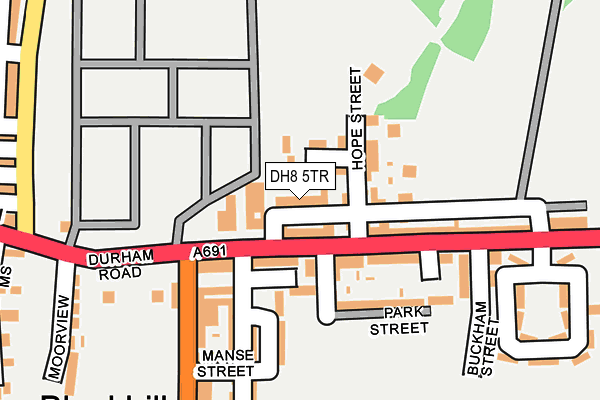 DH8 5TR map - OS OpenMap – Local (Ordnance Survey)