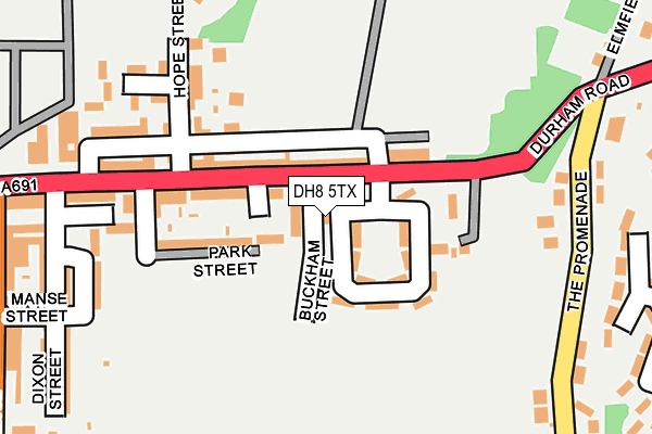 DH8 5TX map - OS OpenMap – Local (Ordnance Survey)