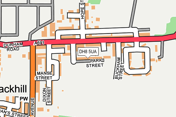 DH8 5UA map - OS OpenMap – Local (Ordnance Survey)