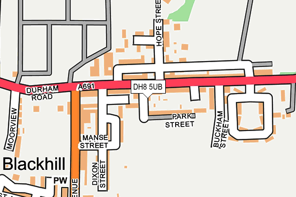 DH8 5UB map - OS OpenMap – Local (Ordnance Survey)