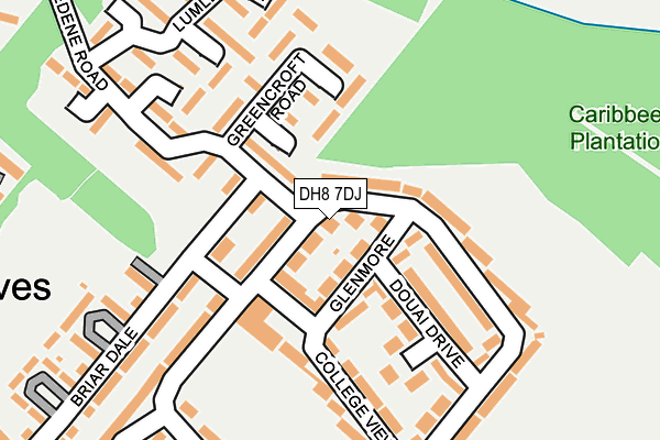 DH8 7DJ map - OS OpenMap – Local (Ordnance Survey)
