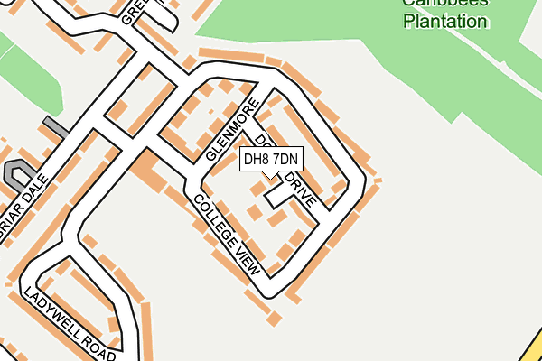 DH8 7DN map - OS OpenMap – Local (Ordnance Survey)