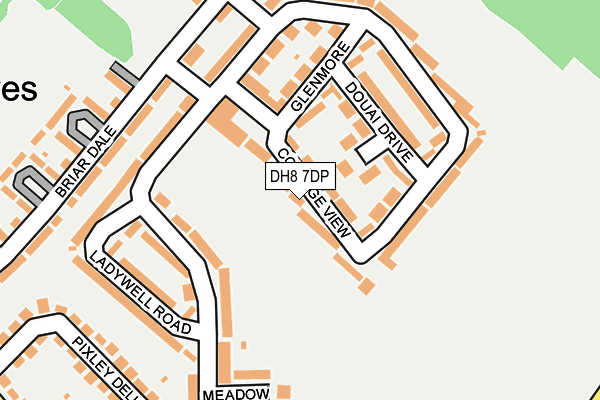 DH8 7DP map - OS OpenMap – Local (Ordnance Survey)