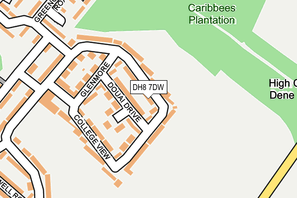 DH8 7DW map - OS OpenMap – Local (Ordnance Survey)