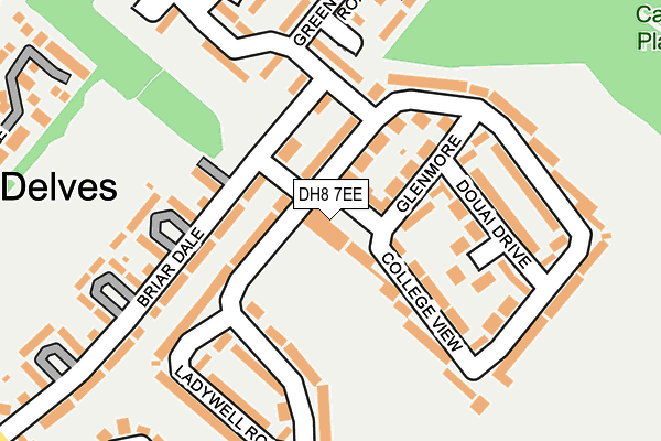 DH8 7EE map - OS OpenMap – Local (Ordnance Survey)
