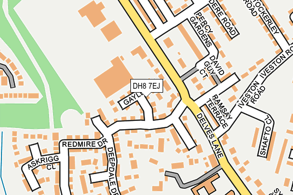 DH8 7EJ map - OS OpenMap – Local (Ordnance Survey)