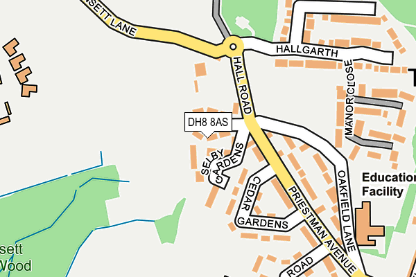 DH8 8AS map - OS OpenMap – Local (Ordnance Survey)