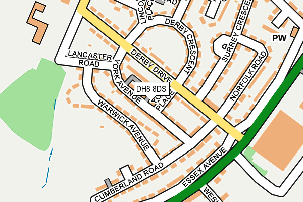 DH8 8DS map - OS OpenMap – Local (Ordnance Survey)