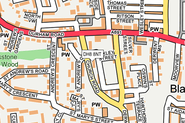 DH8 8NT map - OS OpenMap – Local (Ordnance Survey)