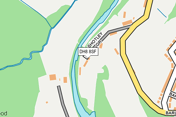 DH8 8SF map - OS OpenMap – Local (Ordnance Survey)