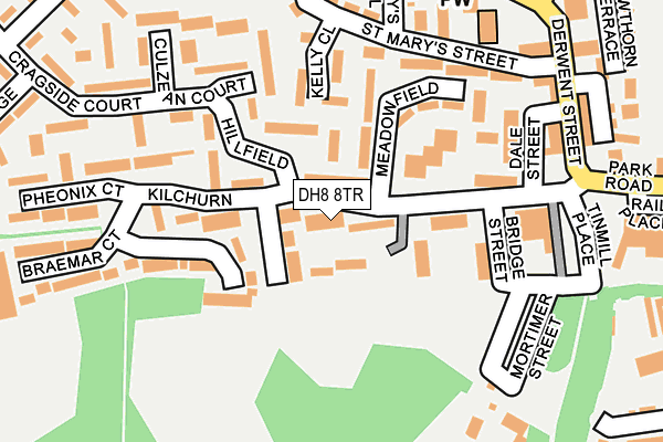 DH8 8TR map - OS OpenMap – Local (Ordnance Survey)