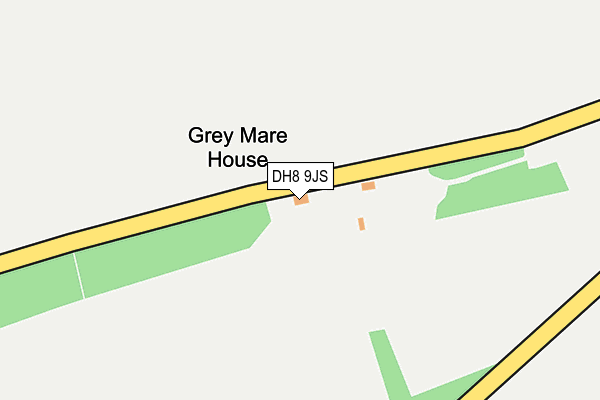 DH8 9JS map - OS OpenMap – Local (Ordnance Survey)