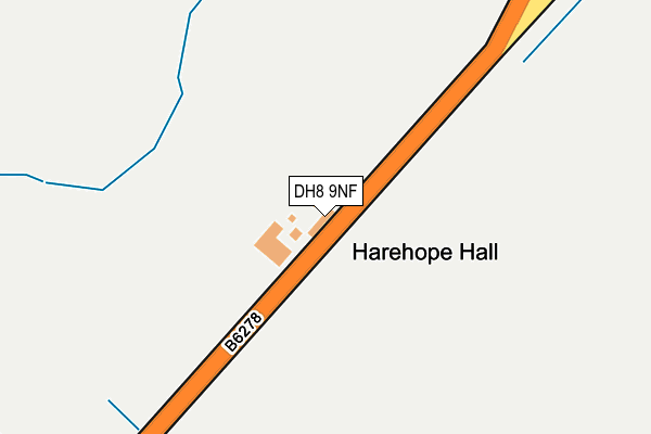 DH8 9NF map - OS OpenMap – Local (Ordnance Survey)