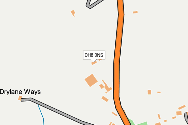 DH8 9NS map - OS OpenMap – Local (Ordnance Survey)