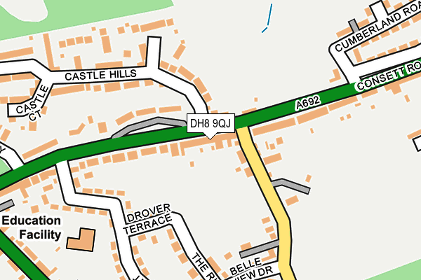 DH8 9QJ map - OS OpenMap – Local (Ordnance Survey)